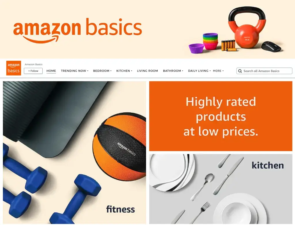 An image of the Amazon Basics storefront with various products on display.