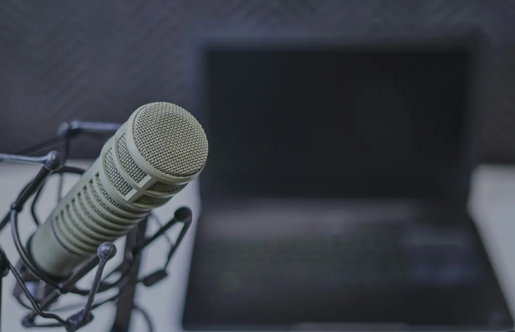 A microphone next to a laptop.