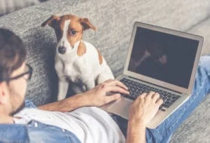 Person working from home on the couch with his dog