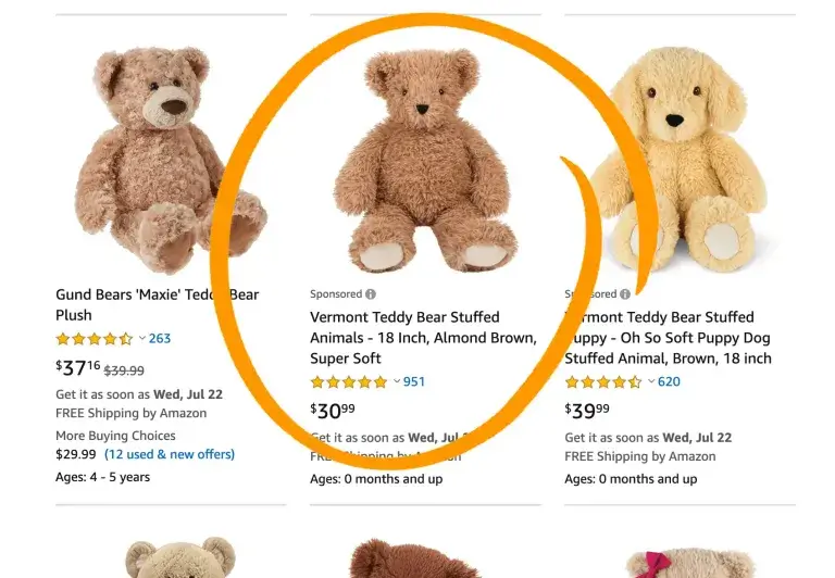 an example of Sponsored Products in amazon search results as an ad placement