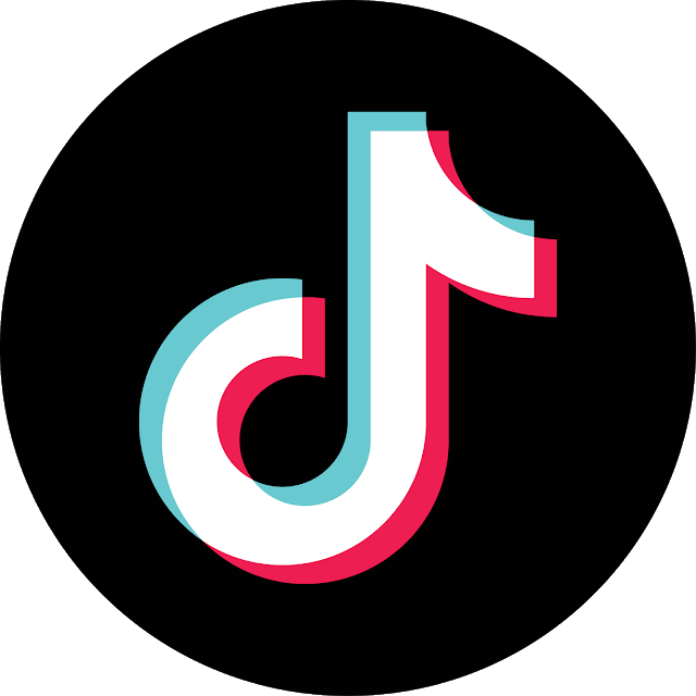 TikTok logo | amazon 2020 year in review